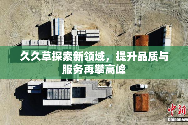 久久草探索新领域，提升品质与服务再攀高峰
