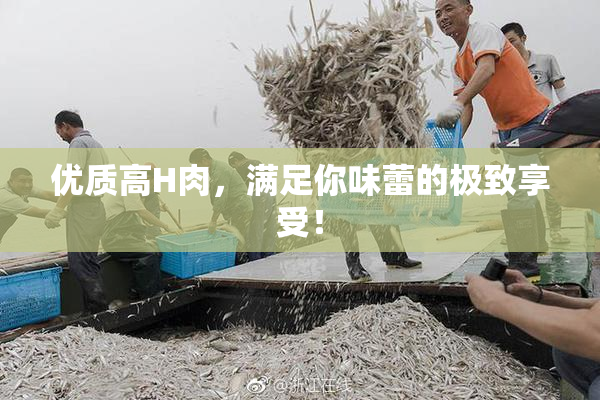 优质高H肉，满足你味蕾的极致享受！