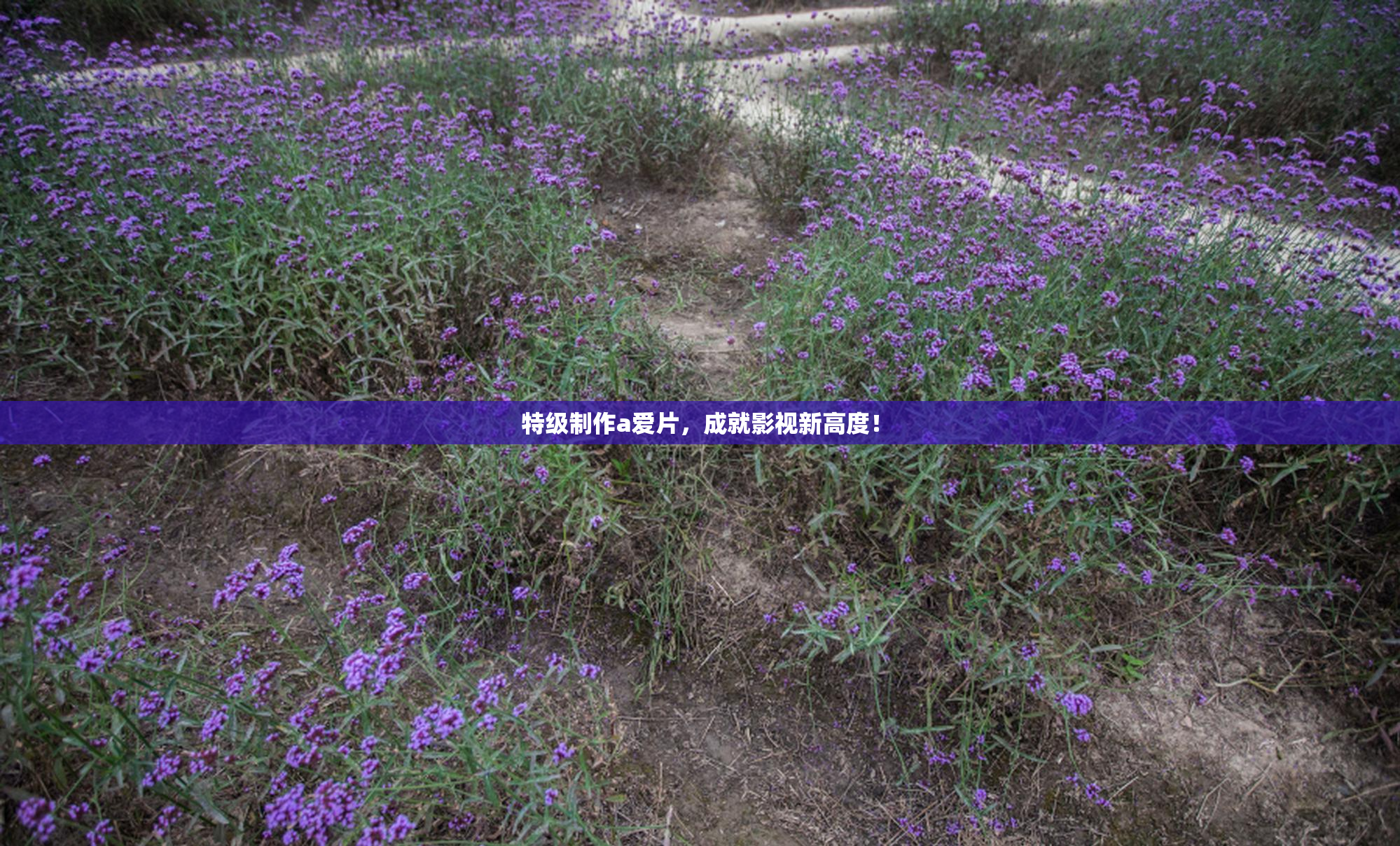特级制作a爱片，成就影视新高度！