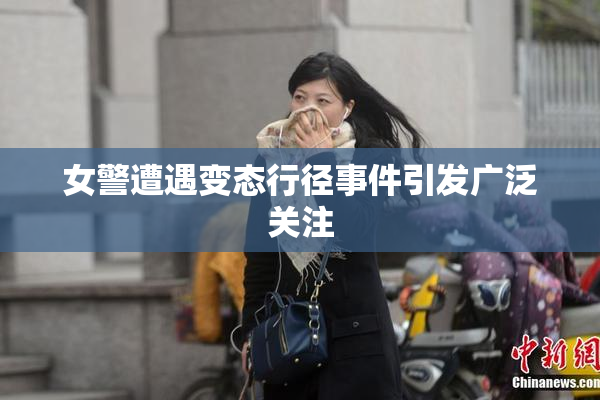 女警遭遇变态行径事件引发广泛关注