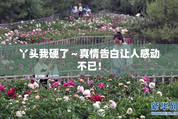 丫头我硬了～真情告白让人感动不已！