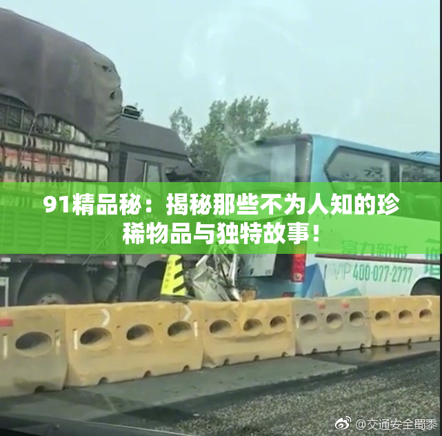91精品秘：揭秘那些不为人知的珍稀物品与独特故事！
