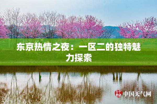 东京热情之夜：一区二的独特魅力探索