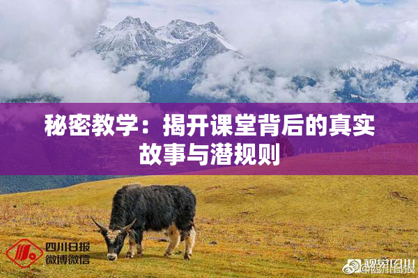 秘密教学：揭开课堂背后的真实故事与潜规则