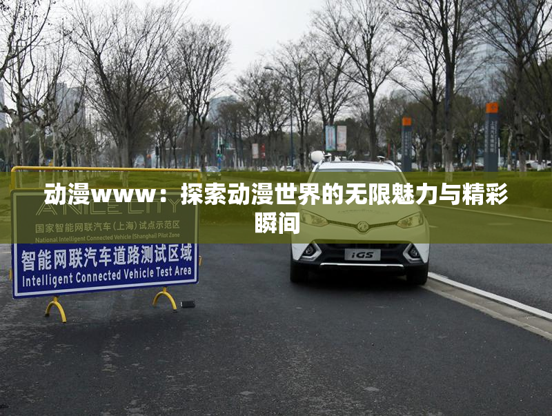 动漫www：探索动漫世界的无限魅力与精彩瞬间