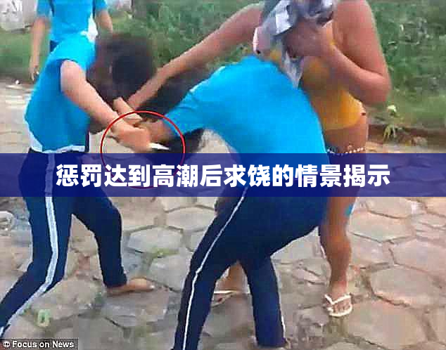 惩罚达到高潮后求饶的情景揭示