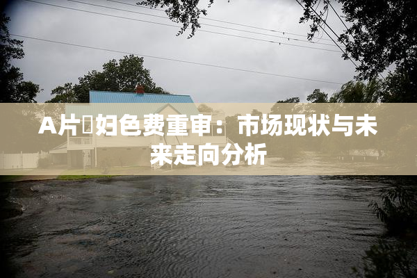 A片婬妇色费重审：市场现状与未来走向分析