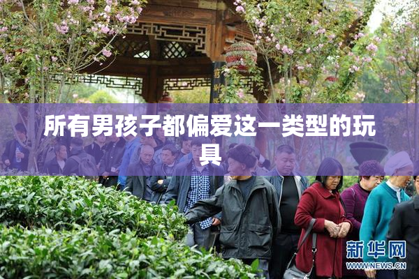 所有男孩子都偏爱这一类型的玩具