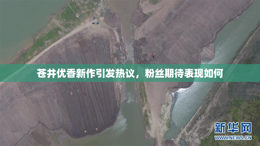 苍井优香新作引发热议，粉丝期待表现如何