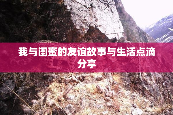 我与闺蜜的友谊故事与生活点滴分享