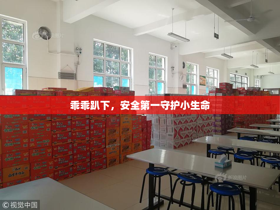 乖乖趴下，安全第一守护小生命