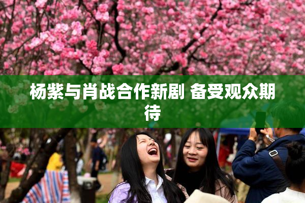 杨紫与肖战合作新剧 备受观众期待