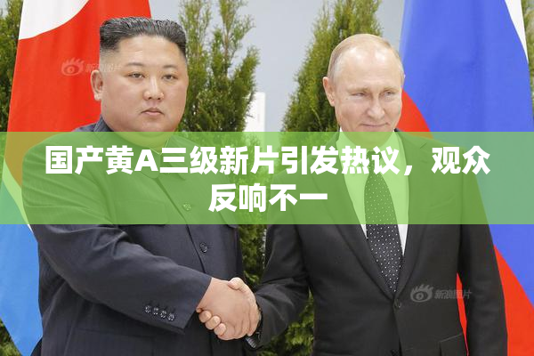 国产黄A三级新片引发热议，观众反响不一