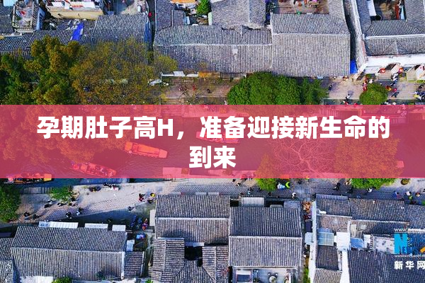 孕期肚子高H，准备迎接新生命的到来