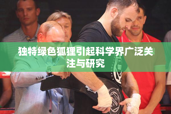 独特绿色狐狸引起科学界广泛关注与研究