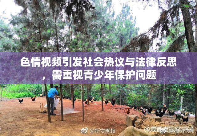 色情视频引发社会热议与法律反思，需重视青少年保护问题
