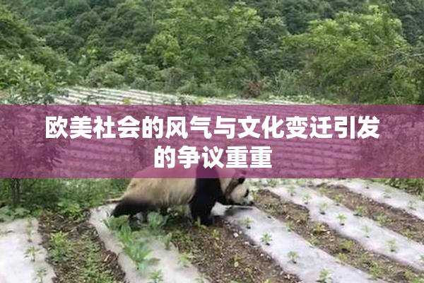 欧美社会的风气与文化变迁引发的争议重重