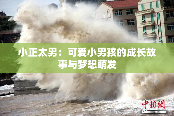 小正太男：可爱小男孩的成长故事与梦想萌发