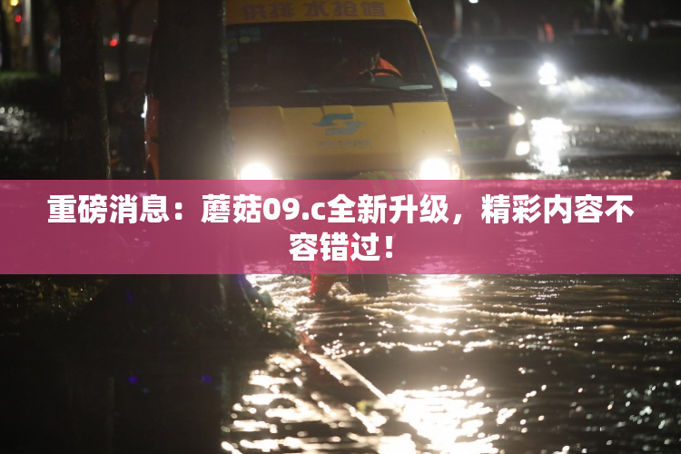 重磅消息：蘑菇09.c全新升级，精彩内容不容错过！