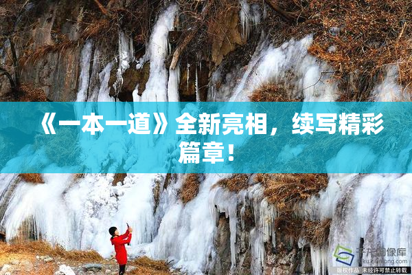《一本一道》全新亮相，续写精彩篇章！