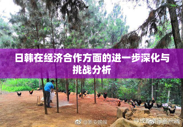 日韩在经济合作方面的进一步深化与挑战分析