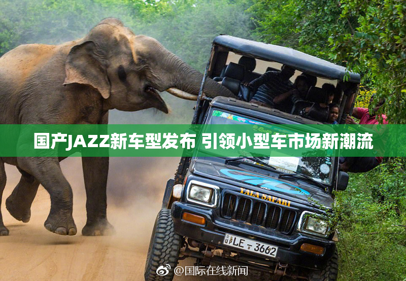 国产JAZZ新车型发布 引领小型车市场新潮流