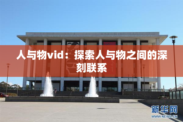 人与物vid：探索人与物之间的深刻联系