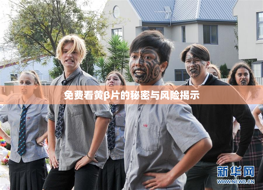 免费看黄β片的秘密与风险揭示