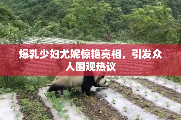 爆乳少妇尤妮惊艳亮相，引发众人围观热议