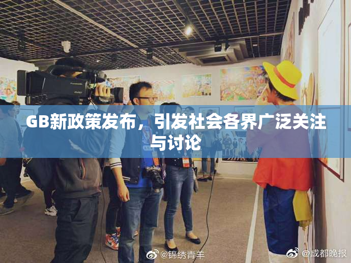GB新政策发布，引发社会各界广泛关注与讨论