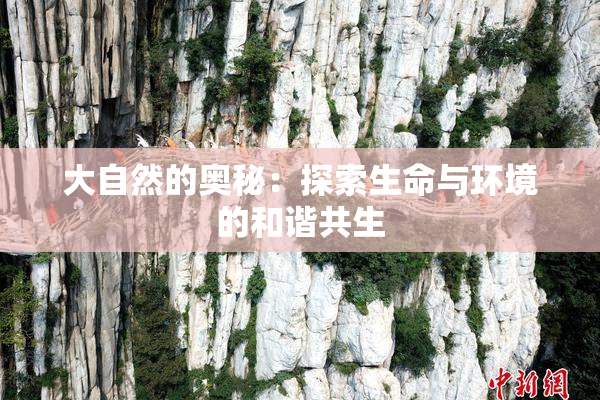 大自然的奥秘：探索生命与环境的和谐共生