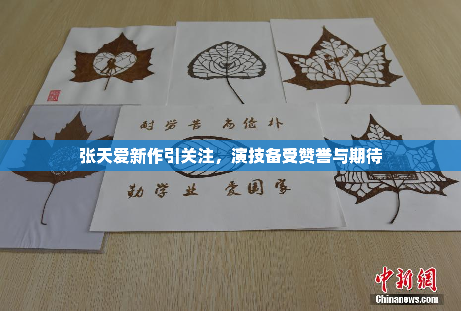 张天爱新作引关注，演技备受赞誉与期待