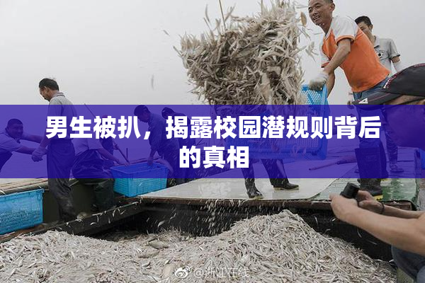 男生被扒，揭露校园潜规则背后的真相