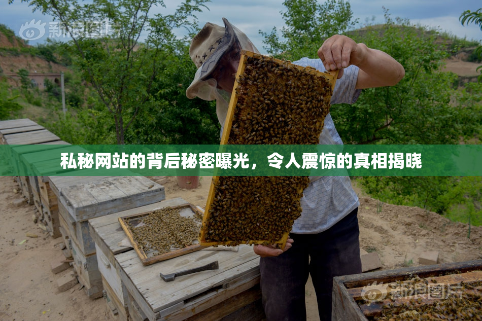 私秘网站的背后秘密曝光，令人震惊的真相揭晓