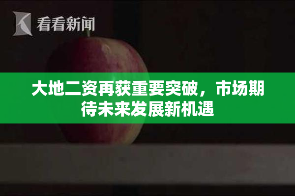 大地二资再获重要突破，市场期待未来发展新机遇