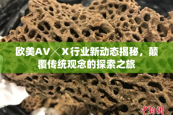 欧美AV╳Ⅹ行业新动态揭秘，颠覆传统观念的探索之旅