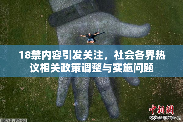 18禁内容引发关注，社会各界热议相关政策调整与实施问题