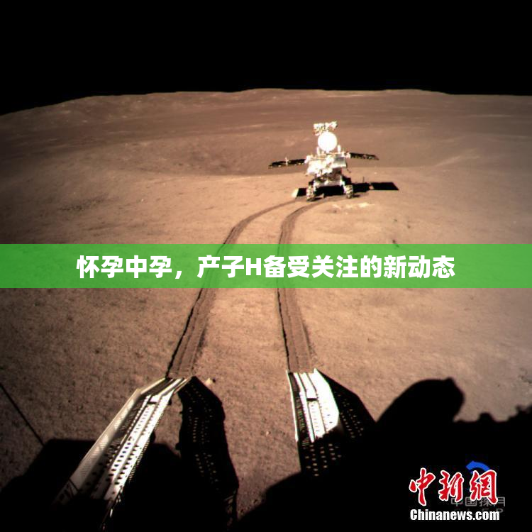 怀孕中孕，产子H备受关注的新动态