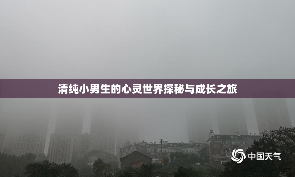 清纯小男生的心灵世界探秘与成长之旅