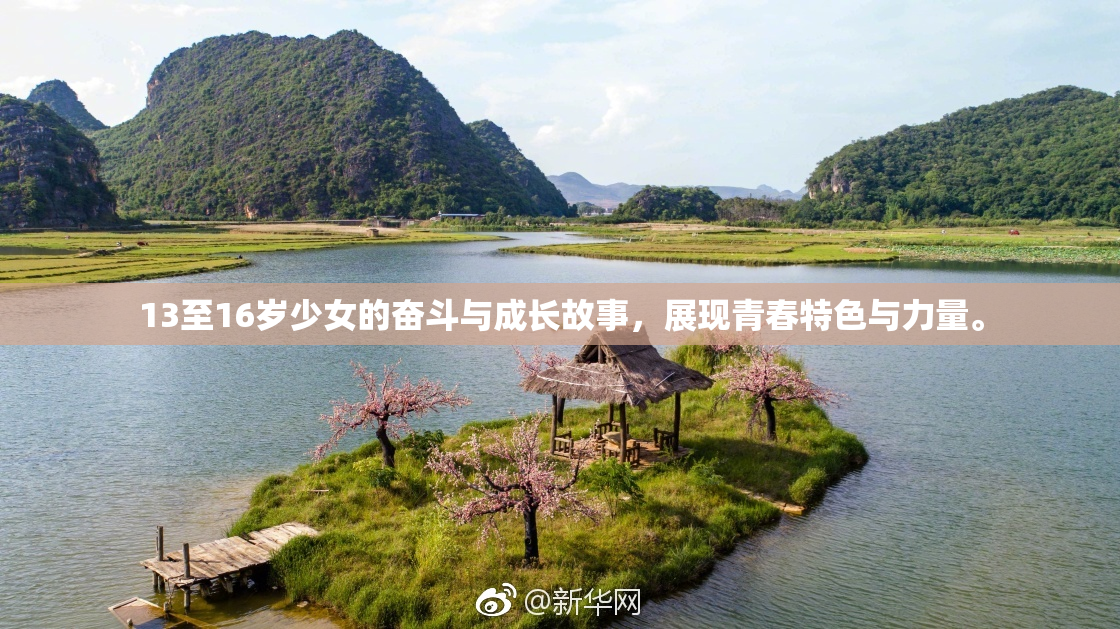 13至16岁少女的奋斗与成长故事，展现青春特色与力量。