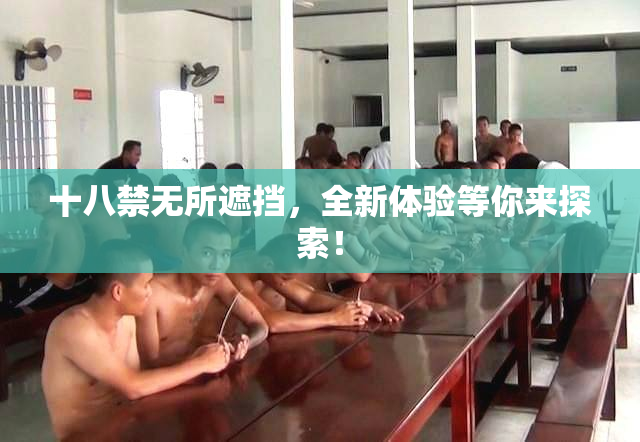 十八禁无所遮挡，全新体验等你来探索！
