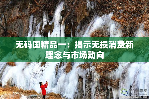 无码国精品一：揭示无损消费新理念与市场动向