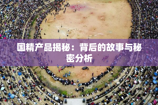 国精产品揭秘：背后的故事与秘密分析