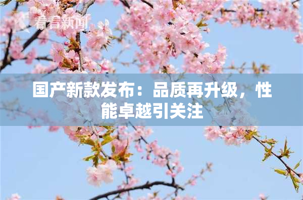 国产新款发布：品质再升级，性能卓越引关注