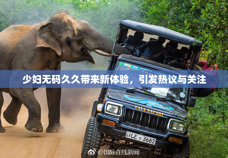少妇无码久久带来新体验，引发热议与关注