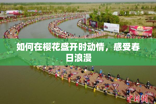 如何在樱花盛开时动情，感受春日浪漫