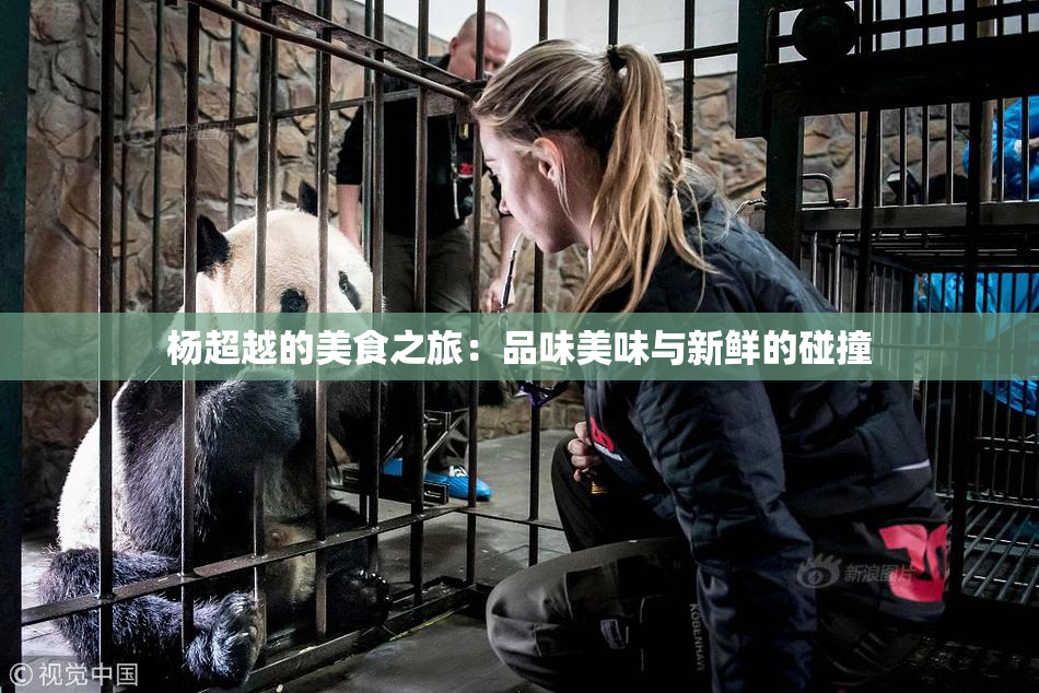 杨超越的美食之旅：品味美味与新鲜的碰撞