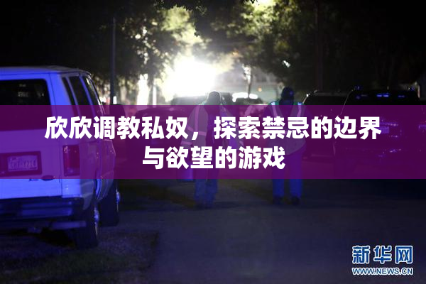 欣欣调教私奴，探索禁忌的边界与欲望的游戏