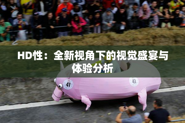 HD性：全新视角下的视觉盛宴与体验分析