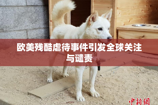 欧美残酷虐待事件引发全球关注与谴责